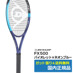 ダンロップ(DUNLOP)ダンロップ FX500 (2026年モデル) / DS22601